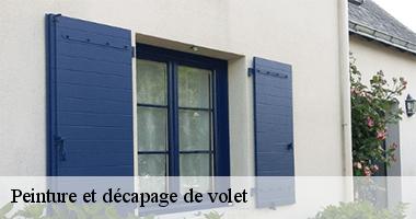 /photos/1804402-peinture-et-decapage-de-volet