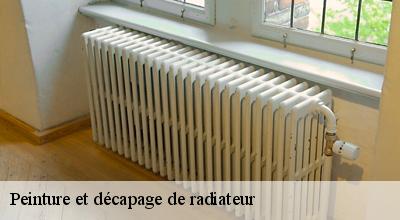 /photos/1804409-peinture-et-decapage-de-radiateur