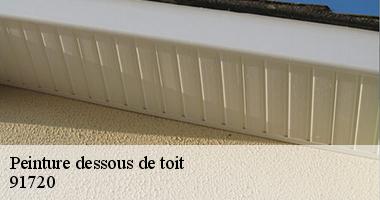 /photos/1805253-peinture-dessous-de-toit