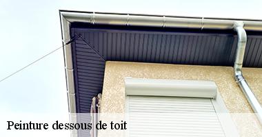 /photos/1805253-peinture-dessous-de-toit