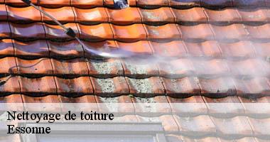 /photos/4001010-nettoyage-de-toiture