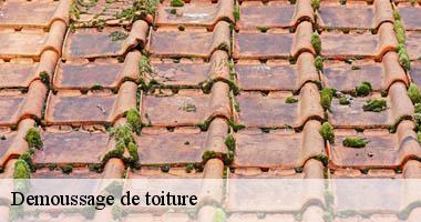 /photos/4001011-demoussage-de-toiture