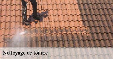/photos/4002445-nettoyage-de-toiture